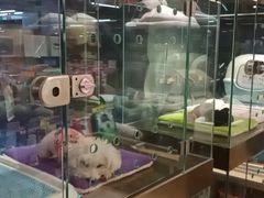 -FAELING PETS美天灵宠物(富力广场店)
