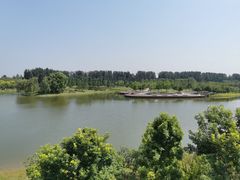-东郊湿地公园