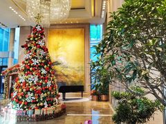 -北京朝阳悠唐皇冠假日酒店