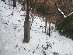 -惠山国家森林公园