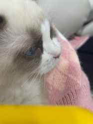 -花系美·美甲美睫精品店