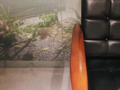 -隐溪茶馆(金虹桥店)
