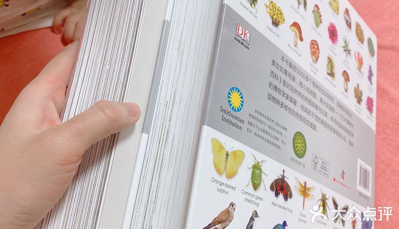 重约7斤 八开大本 623页