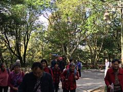 -普陀山慧济禅寺