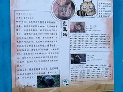 -青藏高原野生动物园