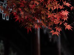 -郭庄景区