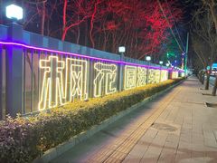 -枫花园汽车电影院(朝阳公园店)