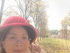 -天适樱花悠乐园
