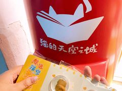 -猫的天空之城概念书店(大学路店)