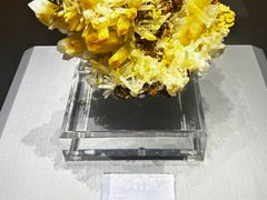 -湖南省地质博物馆