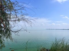 -捞渔河湿地公园