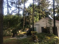 -竹上云想餐厅民宿