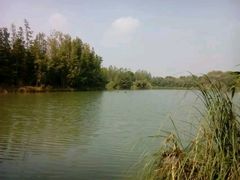 -艾溪湖湿地公园