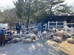 -神户市立六甲山牧场