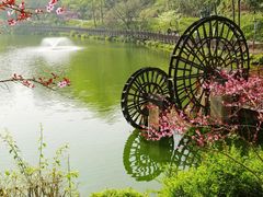 -重庆彩云湖湿地公园