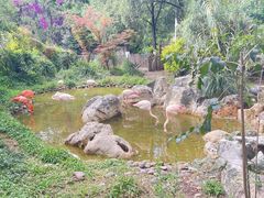 -昆明动物园