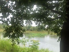 -泗洪洪泽湖湿地景区
