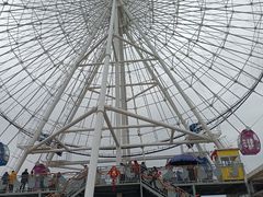 -飞来湖湿地公园