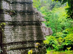 -梭布垭石林景区
