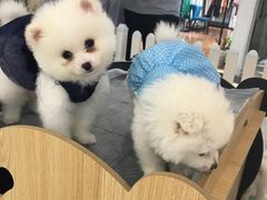 -北京华联购物中心(天通苑店)