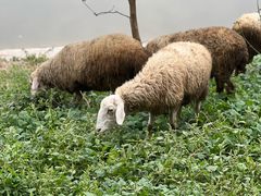 -北运河水利风景区