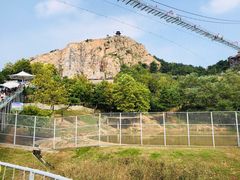 -西霞口神雕山野生动物世界