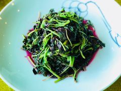 清炒苋菜-扬州狮子楼·非遗淮扬菜(总店)