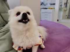 -怪兽屋·羊驼·猫咖·狗咖(俊华广场店)