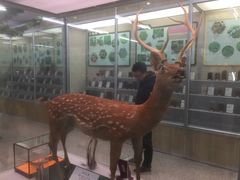 -北京中医药大学-中医药博物馆
