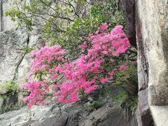 -罗田天堂寨风景区