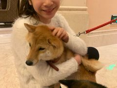 -长白山万达喜来登度假酒店