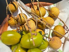 -季季山·云南野生菌火锅(上海首店)
