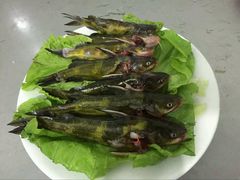 android_upload_pic-花鲢鱼头火锅(春城东路店)