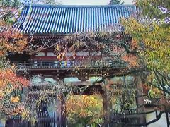 -醍醐寺