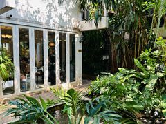 -Fern Forest Cafe