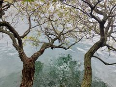 -抚仙湖禄充风景区