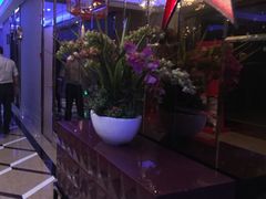 -Miohca缪卡KTV(和平店)