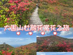 -大围山国家森林公园