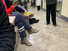 -美联众合动物医院·24h转诊中心