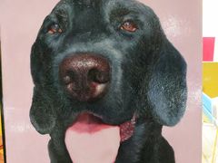 -Refn油画丨零基础定制油画