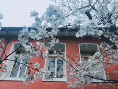 -浙江省杭州高级中学(贡院校区)