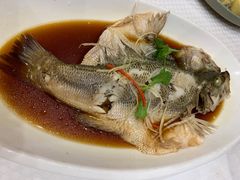 清蒸鲈鱼-双井轩(双井店)