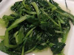 清炒鸡毛菜-19号私房菜(云南路店)
