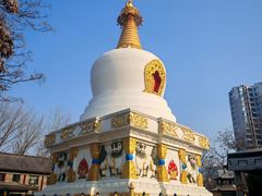 -护国法轮寺