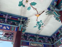 -塘沽森林公园