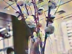 -Seesaw Coffee(上海尚悦湾店)
