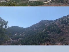 -北京西山国家森林公园