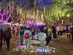 -闽江夜游台江旅游码头