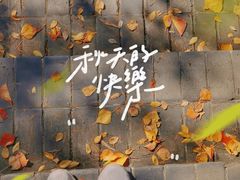 -上海佘山国家森林公园天马山园