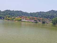 -滴水岩森林公园